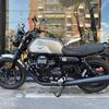 MOTO GUZZI - V7 STONE IV - Grigia 2024