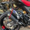 DUCATI - MONSTER 937 SP - 2023